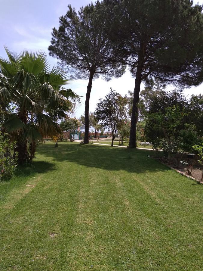 Palmyra Beachfront Studios Nydri (Lefkada) Exterior foto